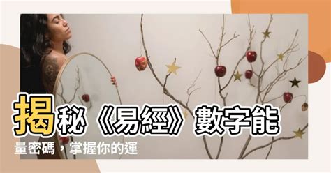 數字 能量|揭秘數字能量組合